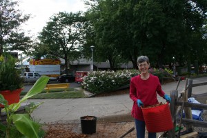 Volunteer carrying mulch