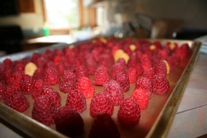 Raspberries ready for freezer