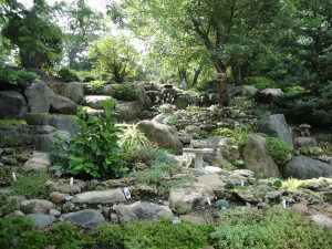 rock garden