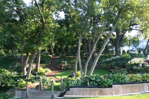 Rochester hosta garden
