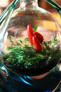 holiday terrarium