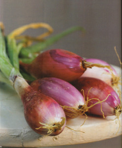 BAKER_CREEK-onions