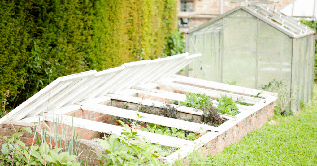 Cold frame for early vegetable planting