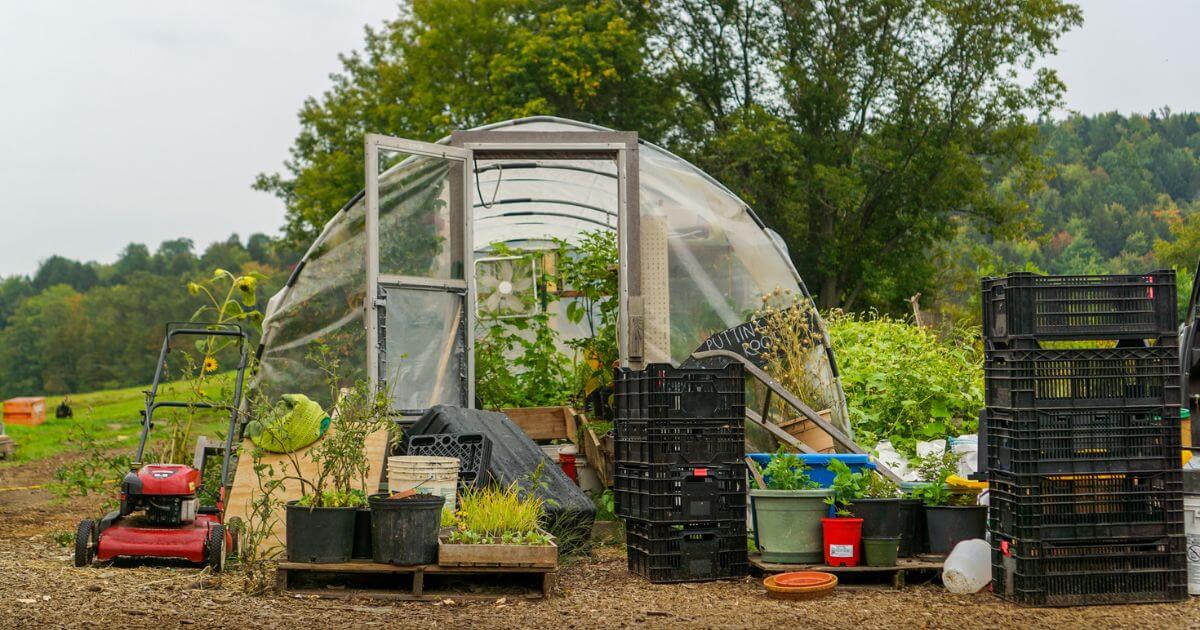 Extend the gardening season with a hoop house