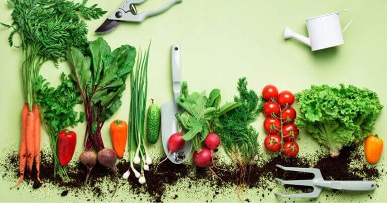 Tips for when to plant what in the vegetable garden