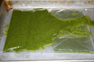 frozen pesto
