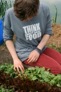 girl harvesting greens