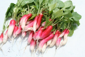 radishes