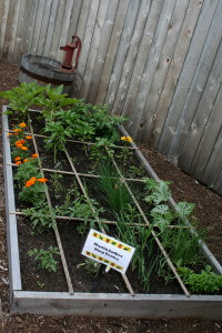 square foot garden