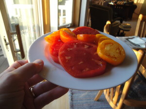 tomatoes on plate