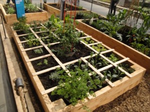 raised bed square foot garde