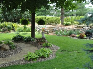 curving garden beds