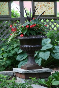 thriller, filler spiller