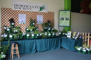 MSHS educational exhibit