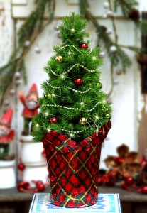 MickmanMini Merry Christmas Tree