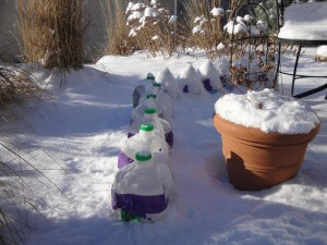 Filled with native perennial seeds, these little greenhouses are waiting for spring. 
