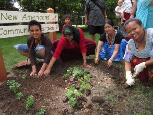 Gardeners at the New Americans' Community Garden in Roseville. 