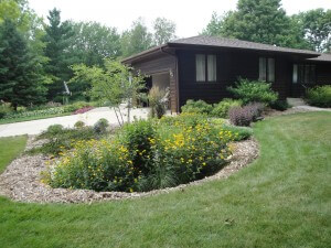 A rain garden reduces run-off, provides habitat for insects and looks beautiful, too. 