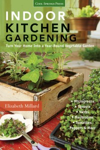 indoor kitchen gardening