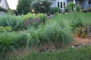 A prairie planting in the front yard is edged with graceful prairie dropseed.