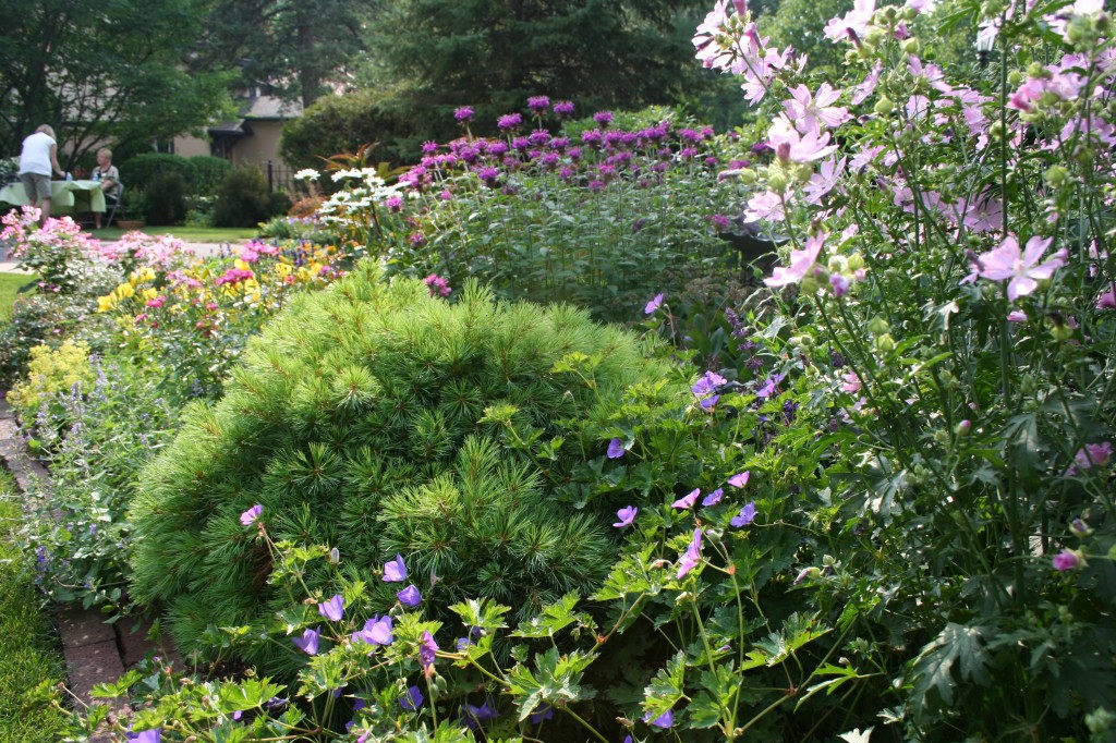 For texture and color, Marge uses conifers and perennials. 