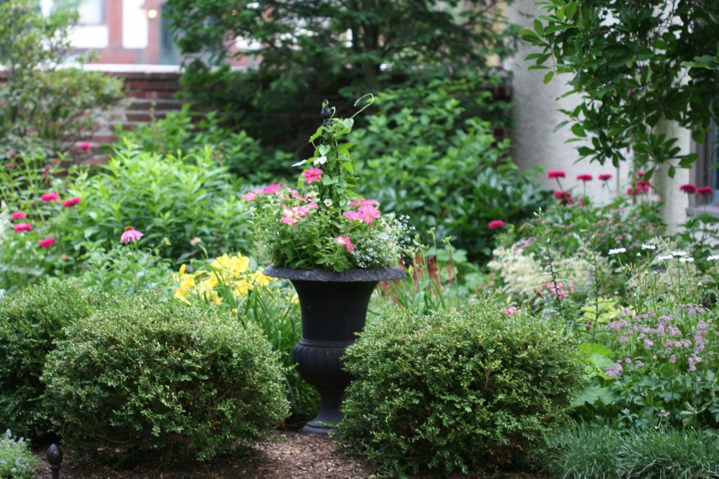 An urn planted with annuals and a fine adds height to the shrub and perennial border. 