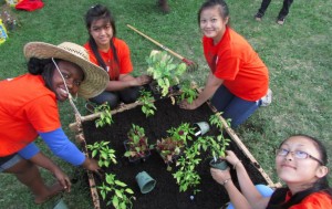 Kingfield Community Gardens are part of a vibrant community in south Minneapolis. 
