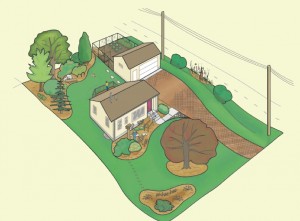 Drawing from Minnesota DNR;