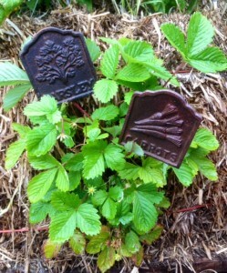 These Will Leave a Mark