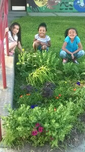 Young gardeners having fun at Eastview Community Gardens.