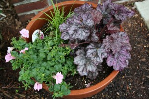 Two foliage plants (the grass and heuchera) combine well with one flowering plant (calibrachoa). 