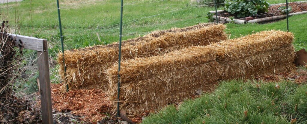 Straw bales ready to be planted. 