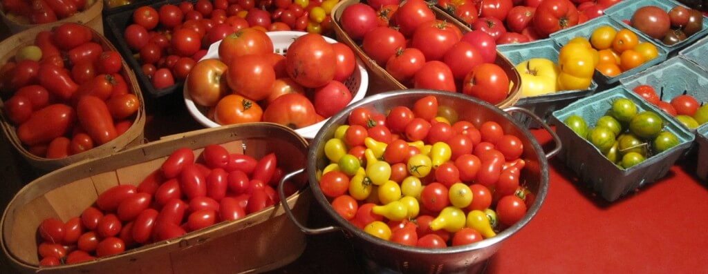A day's harvest for Tom