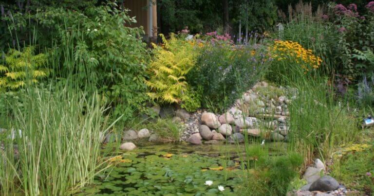 We're Getting Ready for the State Fair!