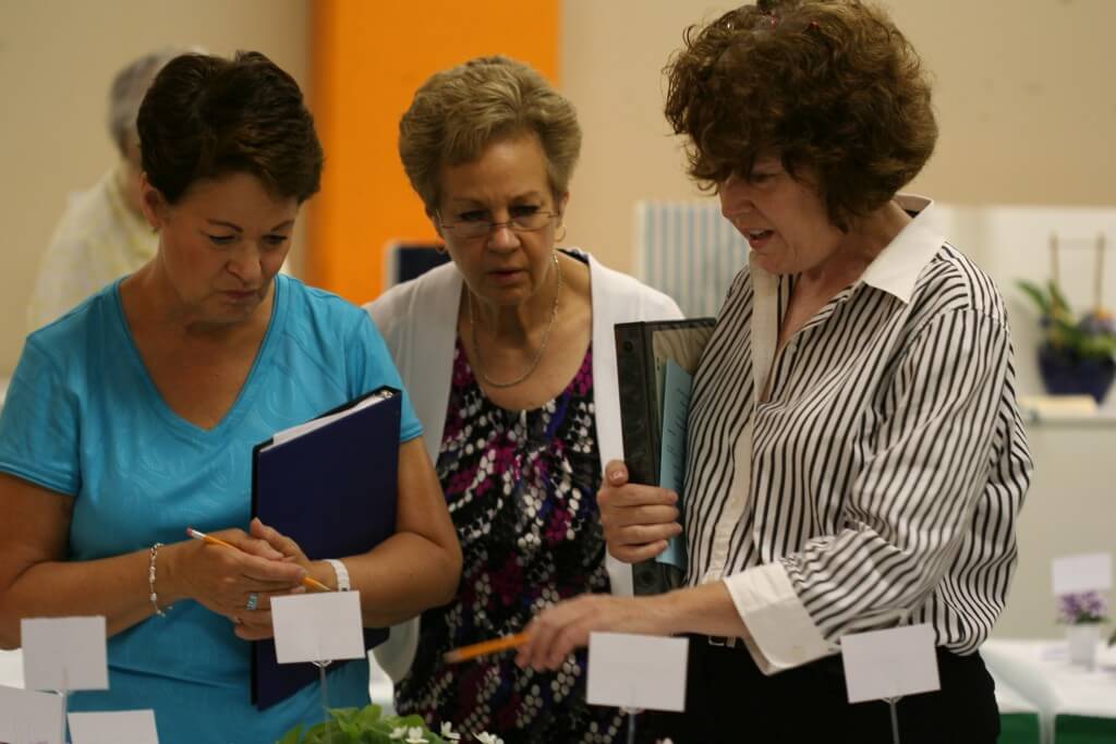 Plant judges checking out the entries.