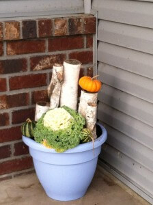 Swap out the plants and pumpkin for some holiday decor and you've got a container for all winter. 