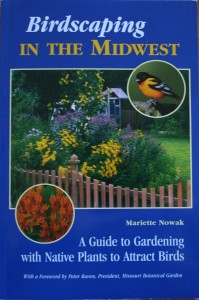 birdscaping in the midwest