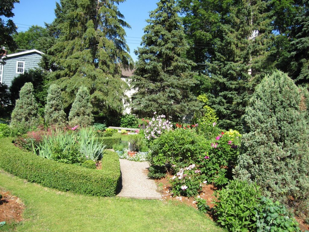 A large collection of conifers gives structure to the Shannon garden. 