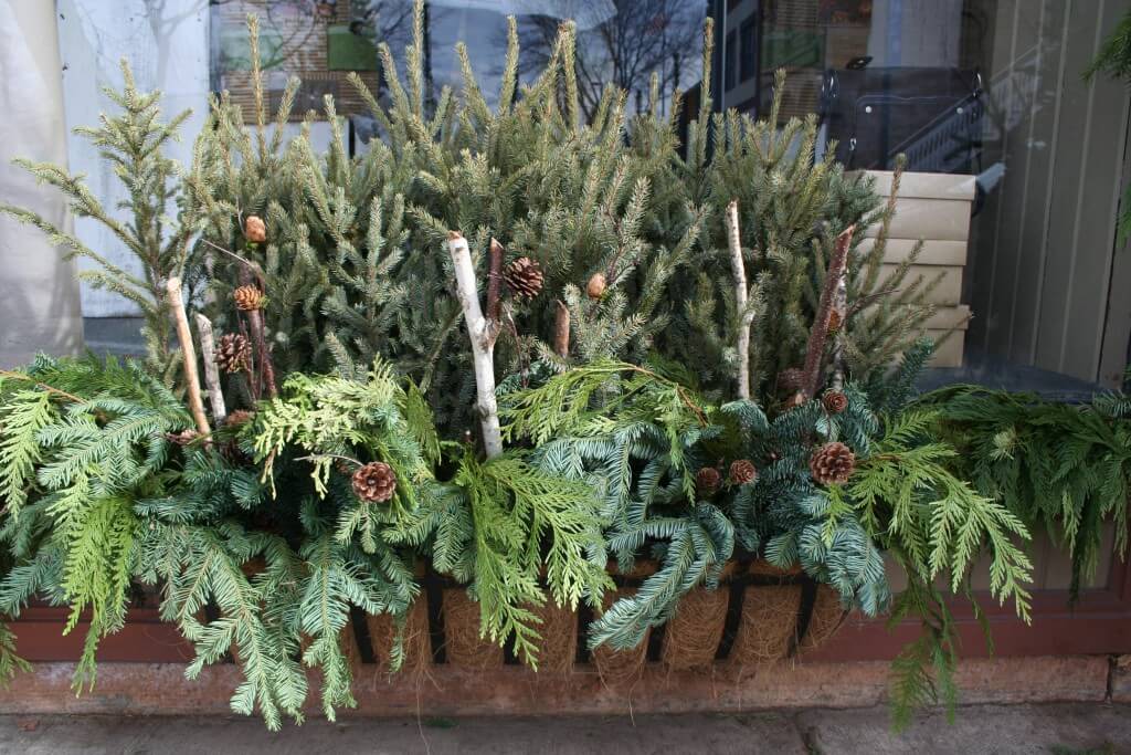 Sometimes greens and a few natural elements are all that are needed for a pretty holiday display.