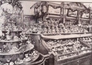 It all started with fruit. Here is a part of the Minnesota fruit display at the 1893 World's Fair in Chicago. 