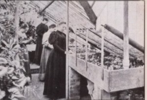 MSHS has long been a supporter of women in horticulture. Here members of a summer class in 1896 put cuttings into a propagation bed. 