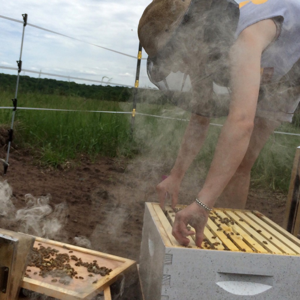 The Bee Squad manages hives for land owners. 