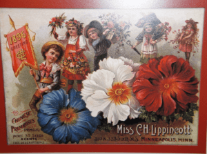 Seed catalogs have been enticing gardeners for a long time! This one is from Miss Lippincott's seeds from 1896.