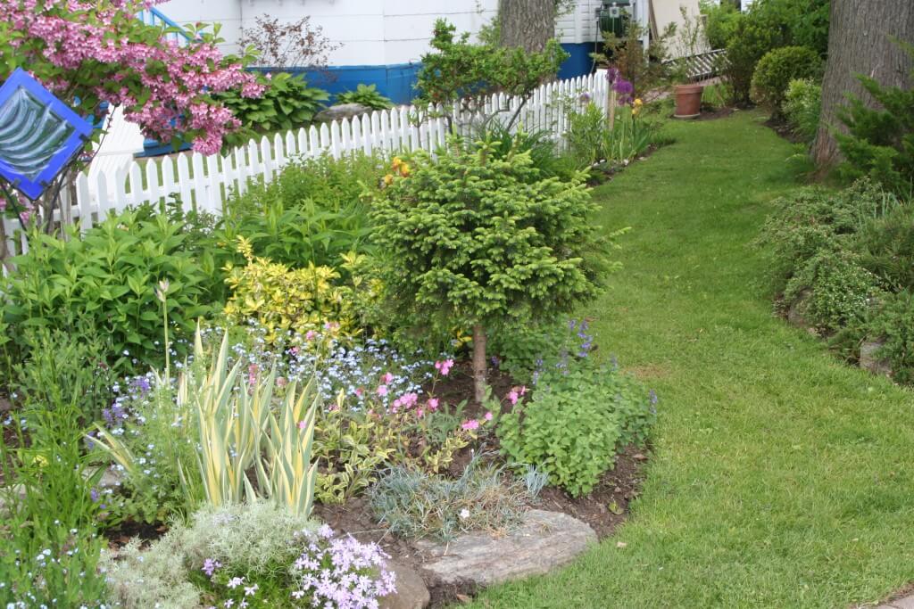 In this landscape, the grass flows like a river between the front and back yards. 