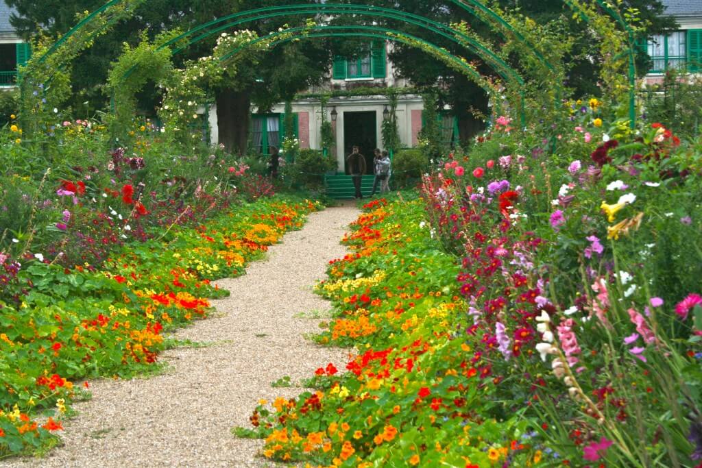 By the end of summer, these nasturtiums will fill the entire walkway in Monet's garden. 