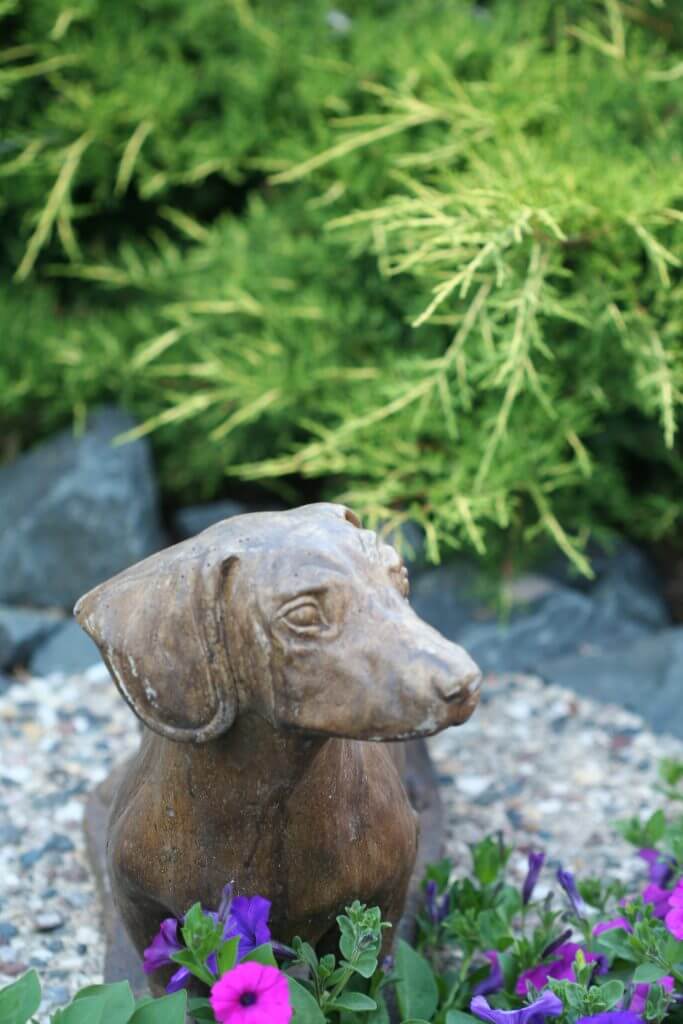 A beloved dog is honored in the garden. 