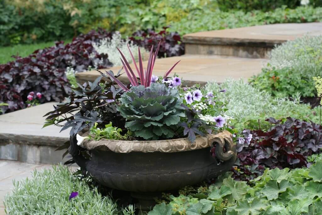 Dark-leaved huechera and lavender tinged ornamental kale add depth to this entry garden. The spike plant echoes the dark theme. 