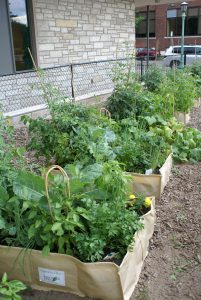 Garden boxes help low-income and at-risk children learn to garden. 