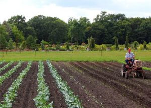 1beehygzf6cxsnph0dgib_o2tgiy56exquvwnqsnl8j7rn16pmjzh1ythk7tcxtjcpavhkuhrft_xs0sl3-hpswieuipk5fz5lnrwnmespghj2jtatyx5yqtsxz9uz3iwj-no00b4s46zqs0-d-e1-ft