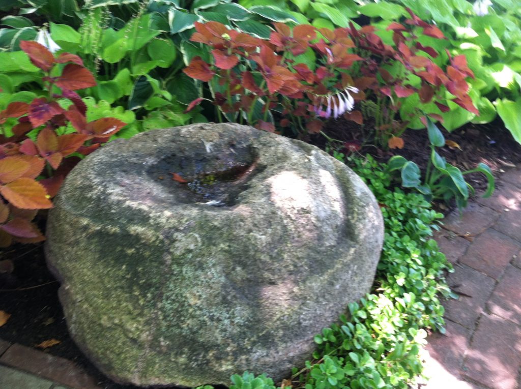 A stone with an indentation collects water, making it an attractive birdbath. 